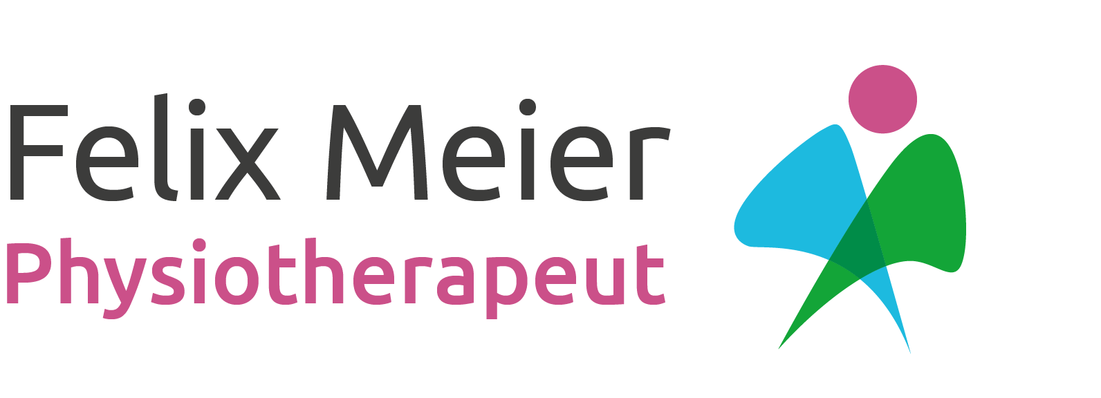 171018_felix-meier_logo_web